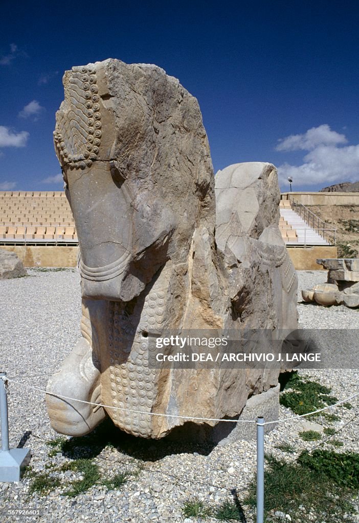 Capital with horse, Processional way, Persepolis...