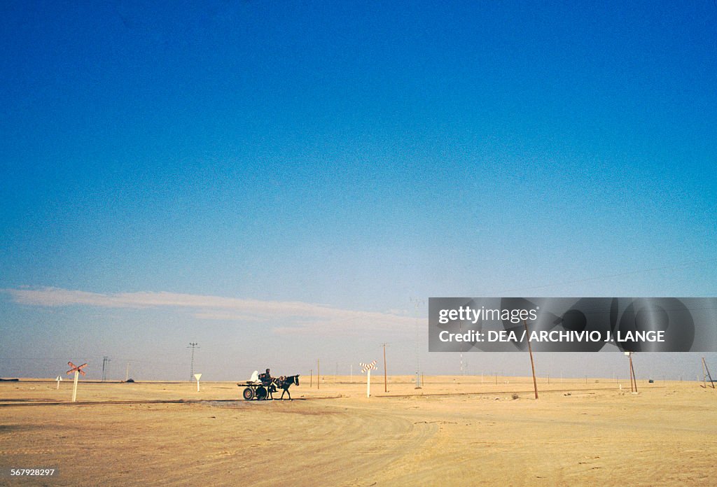 Horse drawn wagon down a road near Touggourt...