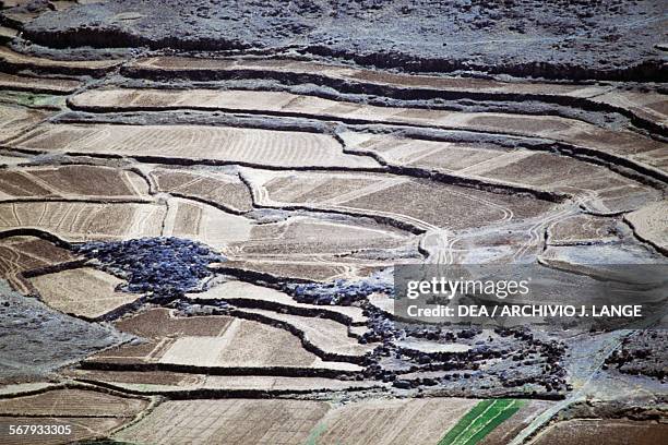 Terraced fields, Shibam valley, Yemen.