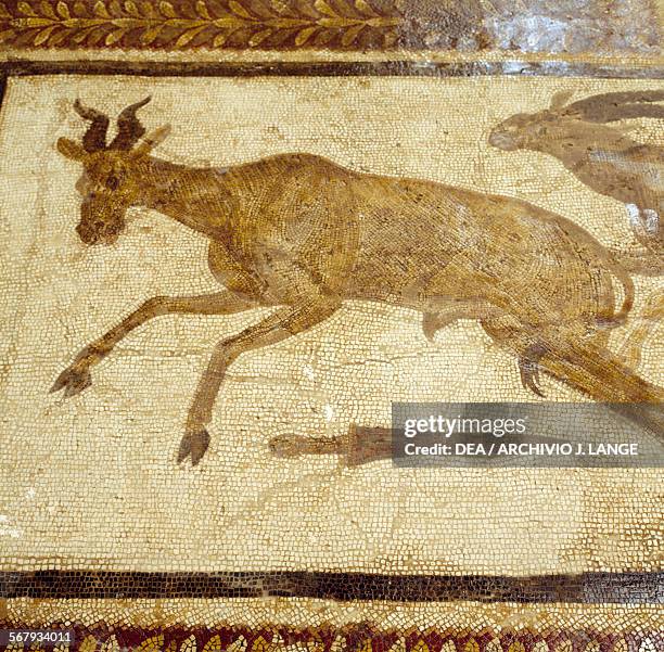 Antelopes, mosaic from Uthina, Oudna, Tunisia. Roman civilisation, 2nd century AD. Detail. Tunis, Musée National Du Bardo