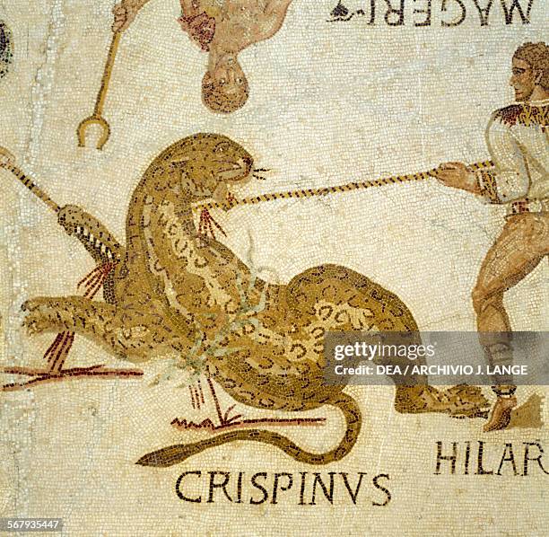 Venatio Photos and Premium High Res Pictures Getty Images