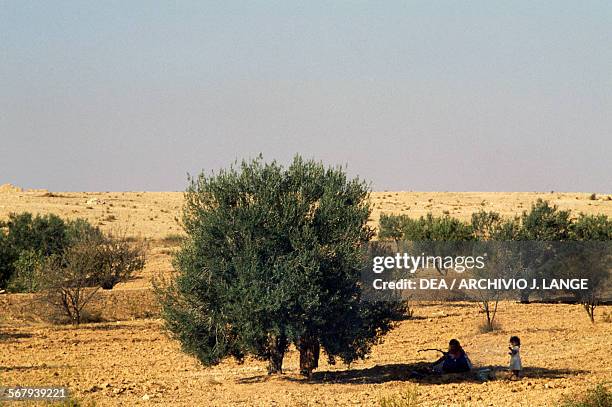 Woman and a young girl in the shade of a tree, Douz, Tunisia.