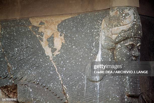 Lamassu, colossal statue of a winged bull with a human face, Nimrud, Iraq. Assyrian civilisation, 9th-8th century BC.