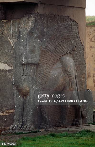 Lamassu, colossal statue of a winged bull with a human face, Nimrud, Iraq. Assyrian civilisation, 9th-8th century BC.