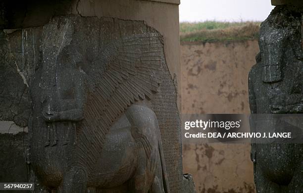 Lamassu, colossal statue of a winged bull with a human face, Nimrud, Iraq. Assyrian civilisation, 9th-8th century BC.