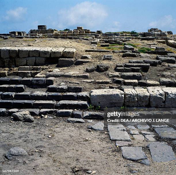 Ara Della Regina Photos and Premium High Res Pictures Getty Images