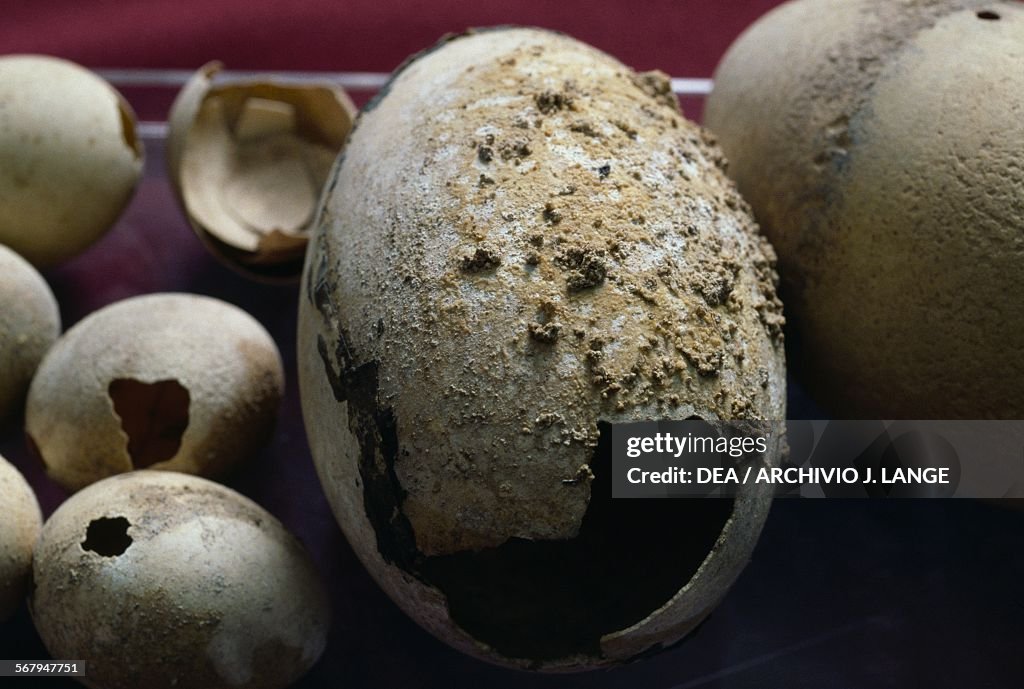 Eggshells from a tomb, ancient city of Rudiae