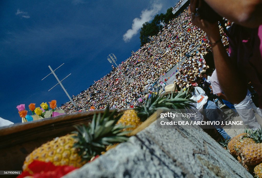 Pineapples ready to be launched to public, Oaxaca