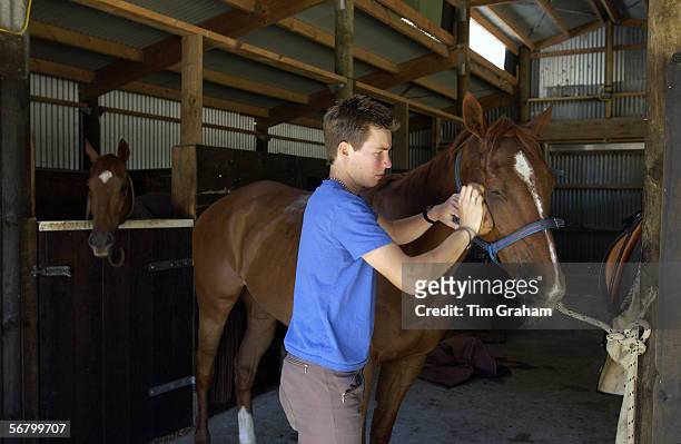 Young man grooms a horse in New Zealand.