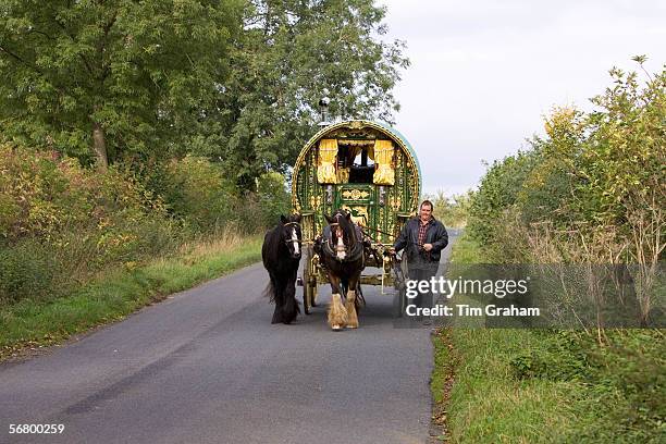 Shire horses pull gypsy caravan through country lanes, Stow-On-The-Wold, Gloucestershire, United Kingdom.