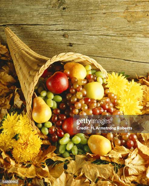 1970s: Cornucopia filled with harvest fruit for Thanksgiving.