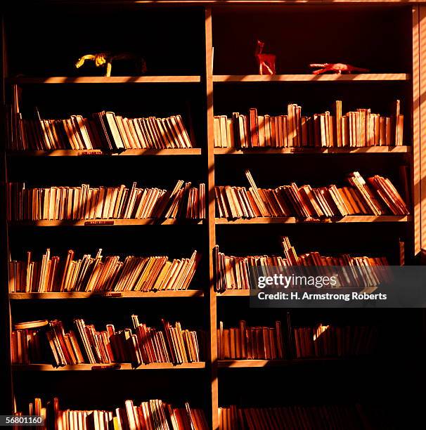 Shel Library Image Book Shel Photos and Premium High Res Pictures - Getty Images