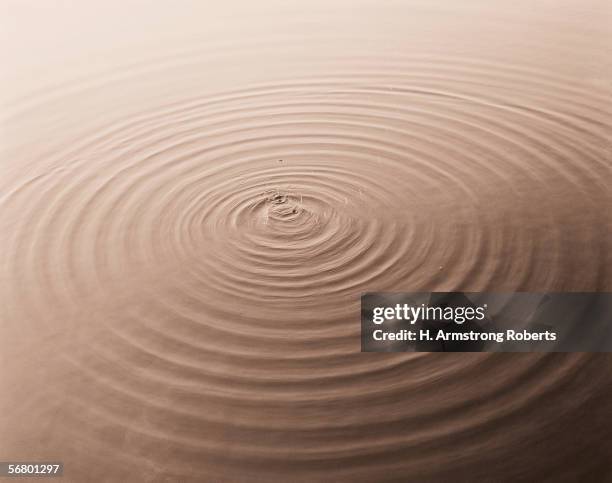 Cocentric Ripples Concentric Ripples Photos and Premium High Res Pictures - Getty Images