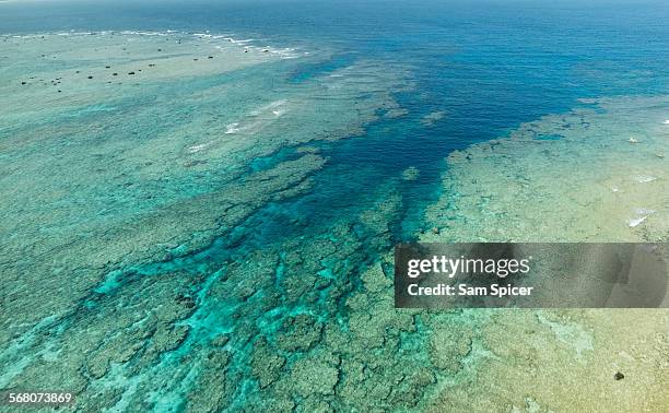 Fringing Reeff 213 Fringing Reefs Stock Photos, High-Res Pictures, and Images - Getty ...