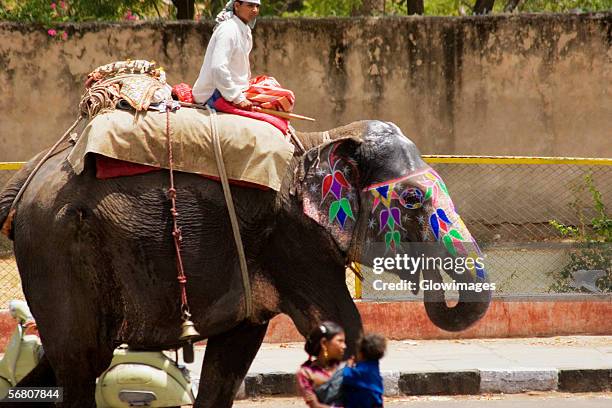 Children Riding Elephants Children Ride Elephant Photos and Premium High Res Pictures - Getty Images