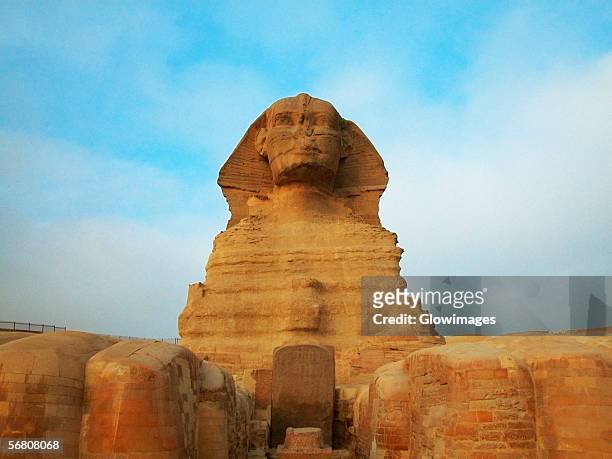 low angle view of a sphinx, giza, cairo, egypt - the sphinx stock pictures, royalty-free photos & images