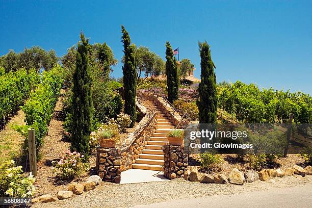 facade of staircase leading to a winery, napa valley, california, usa - napa california 個照片及圖片檔