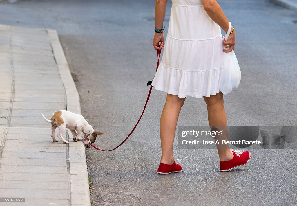 Woman walking with a dog