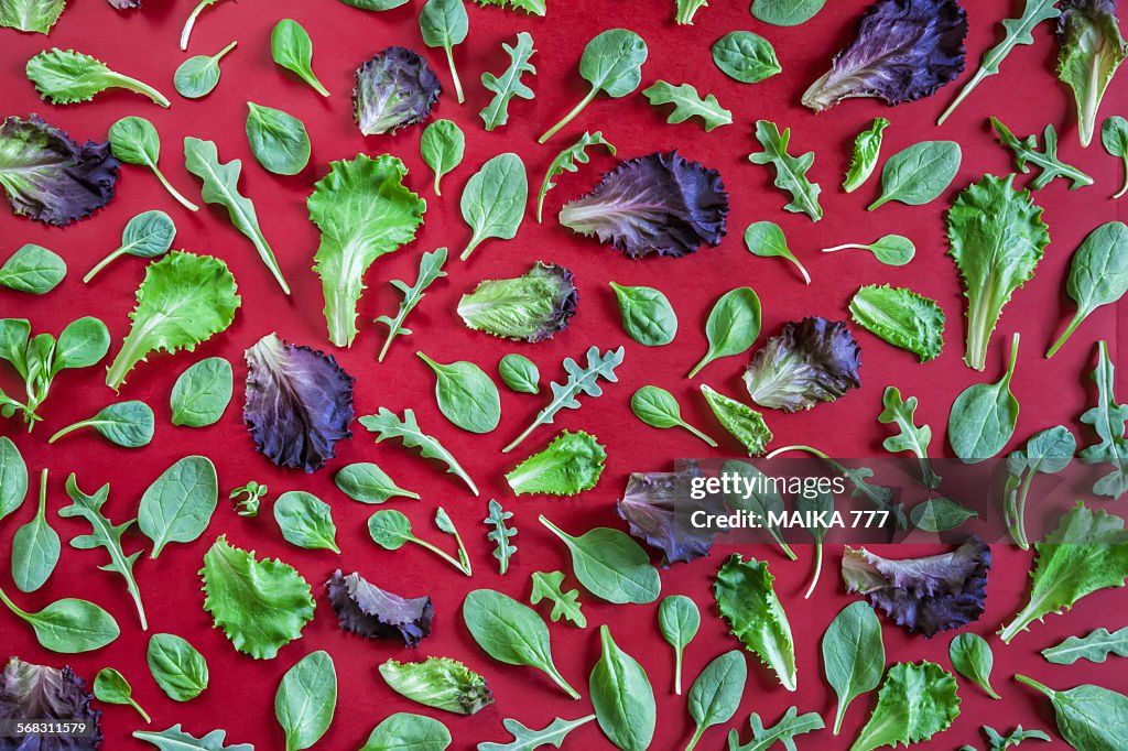 Variety of leaf lettuces forming a pattern