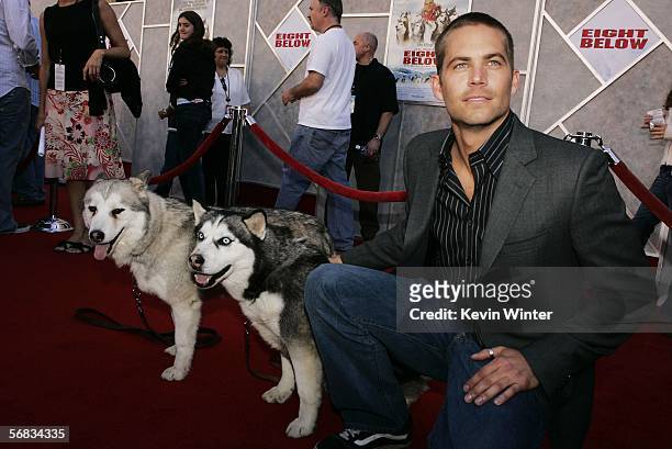 Actor Paul Walker poses with Koda Bear and DJ at the premiere of Disney's "Eight Below" at the El Capitan Theater on February 12, 2006 in Los...