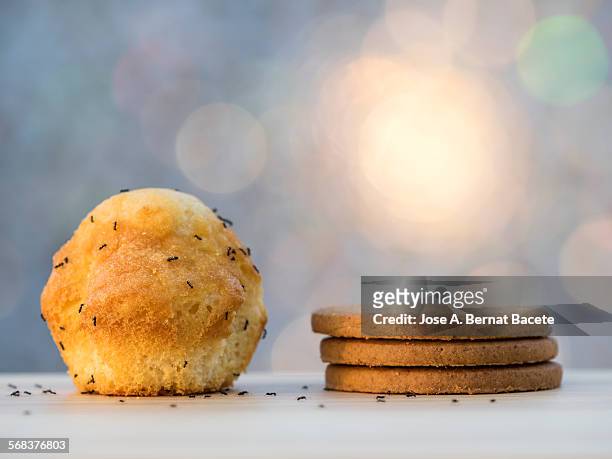 cookies and sponge-cake with ants - rest home stock-fotos und bilder