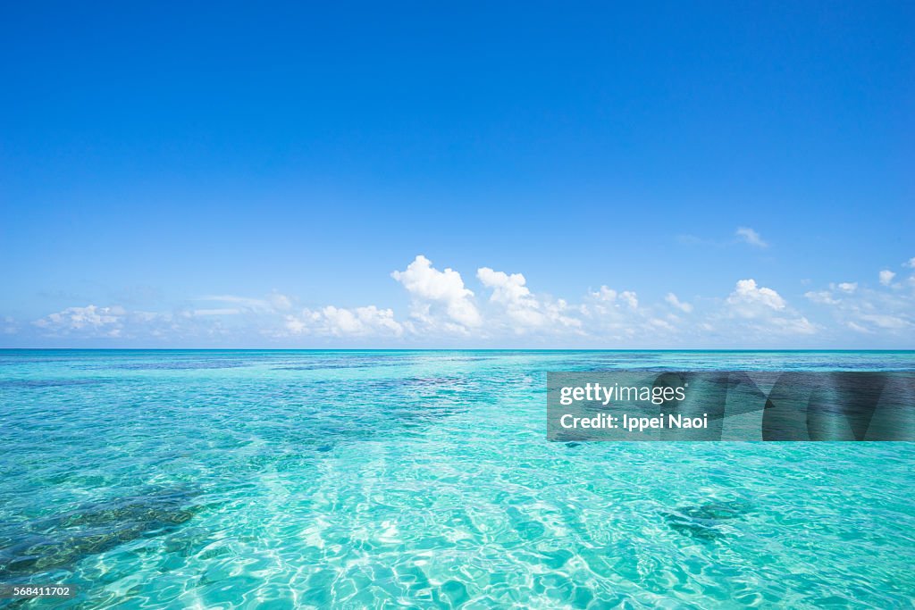 Clear blue tropical water with coral, Sekisei Lagoon, Okinawa, Japan