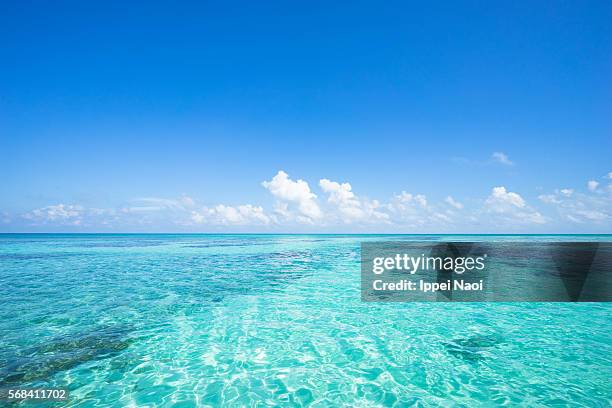 clear blue tropical water with coral, sekisei lagoon, okinawa, japan - horizont über wasser stock-fotos und bilder