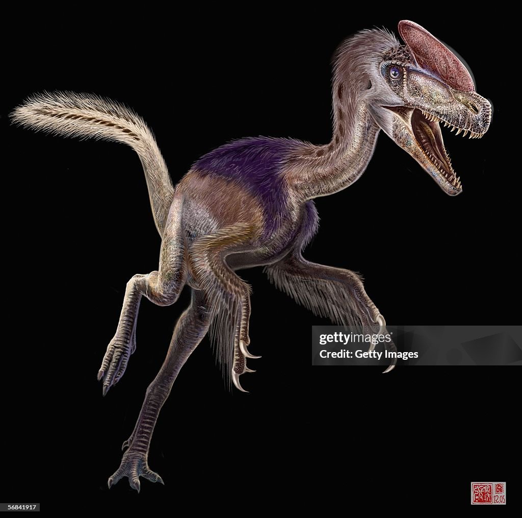 Artist Impression Of Guanlong Wucaii