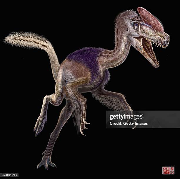 This artist drawing, which was released by the Institute of Vertebrate Paleontology and Paleoanthropology , shows Guanlong Wucaii. A team of...