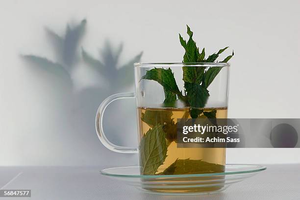 peppermint tea - mint tea stock pictures, royalty-free photos & images