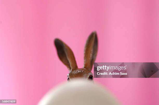 easter bunny and egg - osterhase stock-fotos und bilder