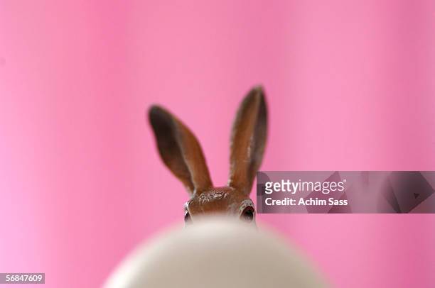 easter bunny and egg - easter bunny stock pictures, royalty-free photos & images
