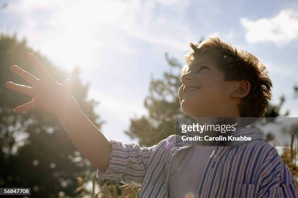 boy looking up in a cornfield - kid looking up to the sky imagens e fotografias de stock