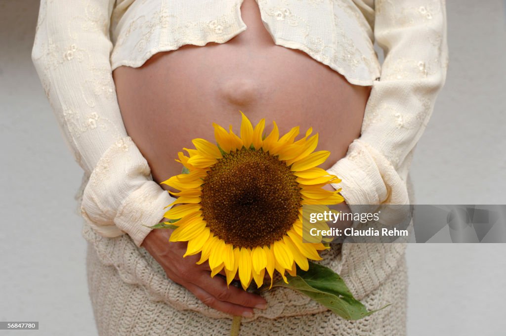 Pregnant mother with sunflower, midsection