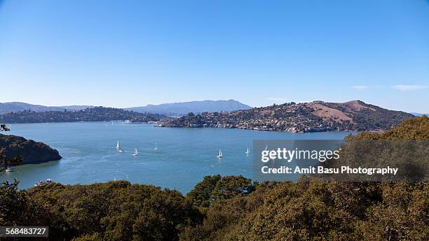 view of richardson bay from angel island - angel island stock pictures, royalty-free photos & images