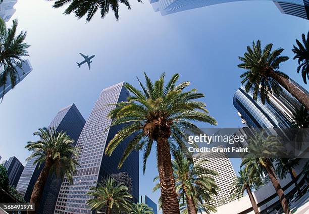 downtown los angeles - city of los angeles stock pictures, royalty-free photos & images