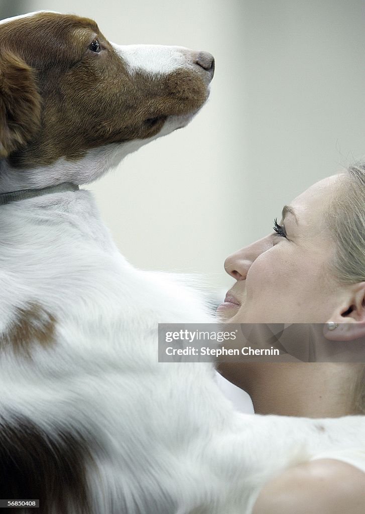 Prize Canines Vie For Glory At Westminster Dog Show