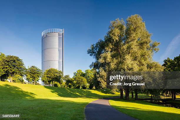 rheinaue at sunrise - bonn 個照片及圖片檔