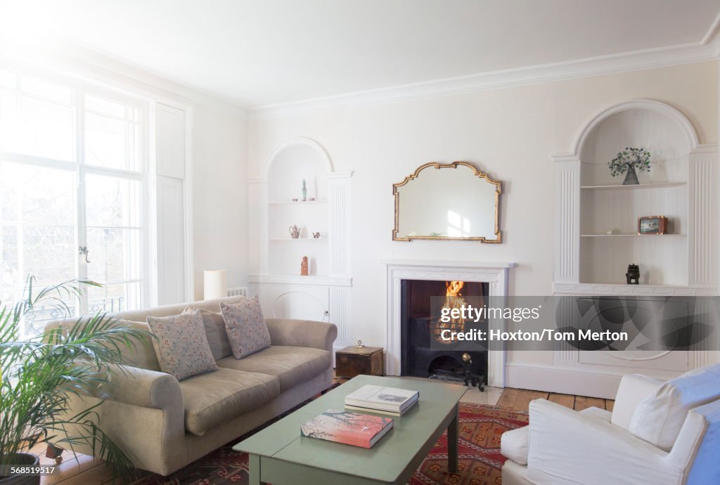Elegant home showcase living room