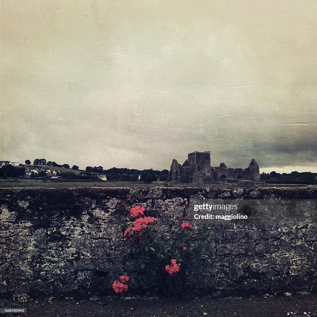 Scenic View Of Hore Abbey Against Cloudy Sky