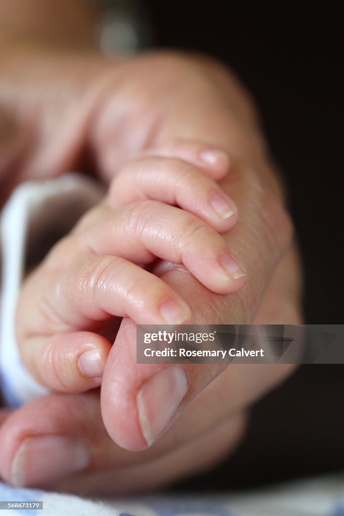 Newborn baby and grandmother's hands linked