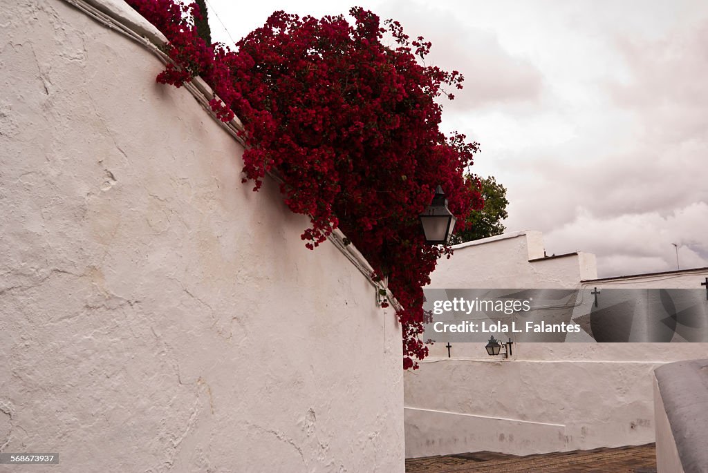 Whitewashed wall