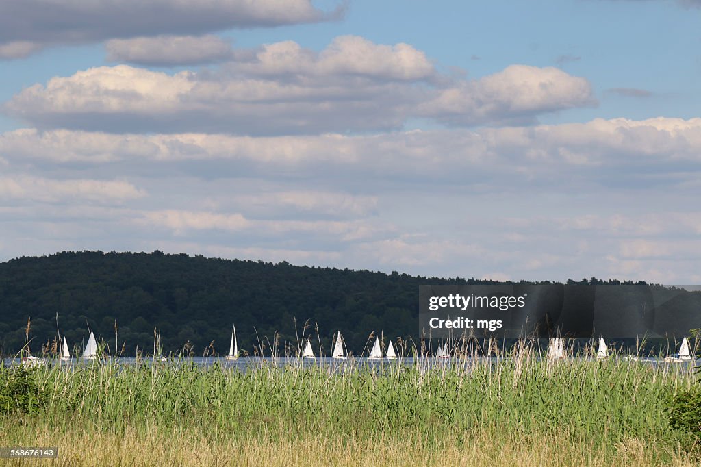 Wannsee