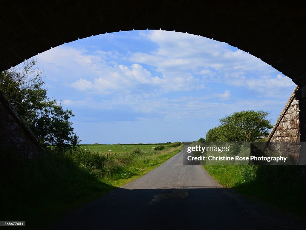 Summer In The Country