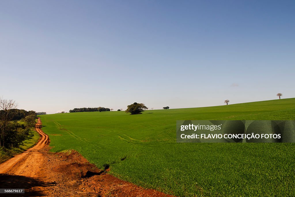 Agriculture Brazil