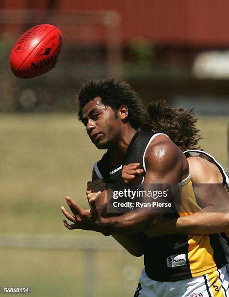 David Rodan 26 56841261 Stock Photos, High-Res Pictures, and Images - Getty Images