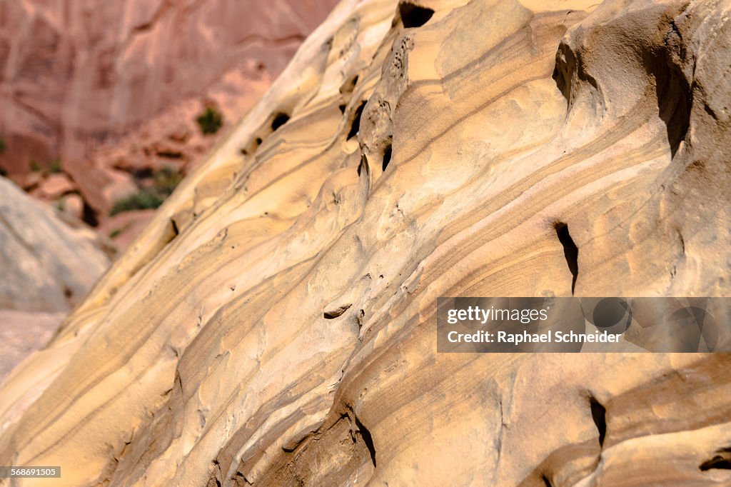 Closeup of layered sandstone, Capitol Reef