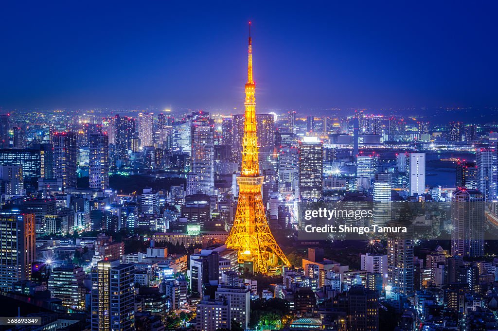 Tokyo tower in blue twilight