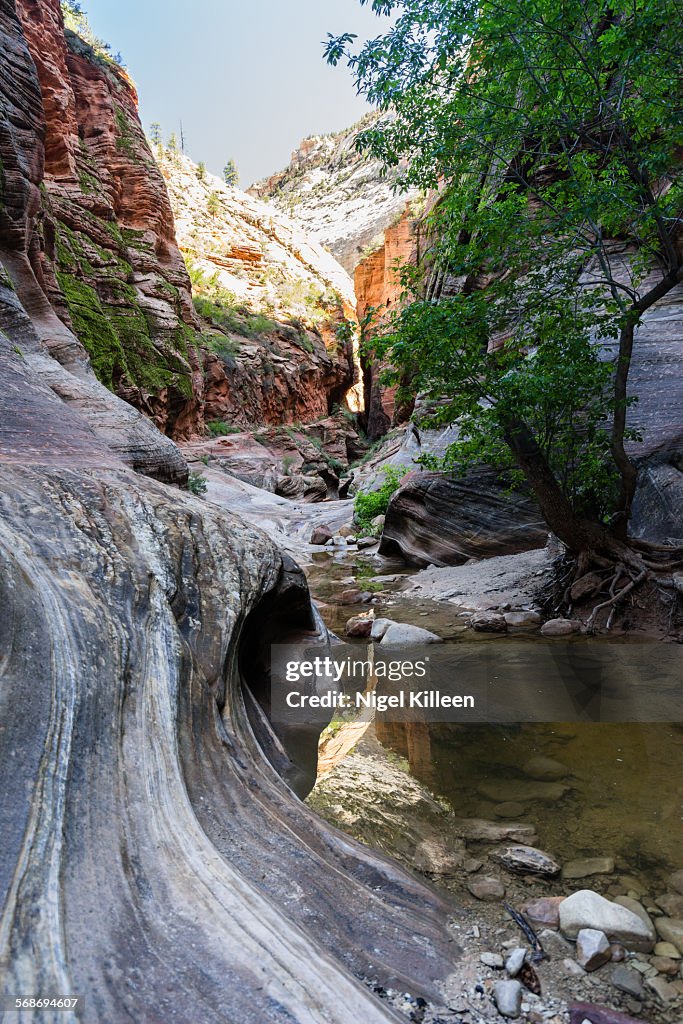 Zion National Park, Utah