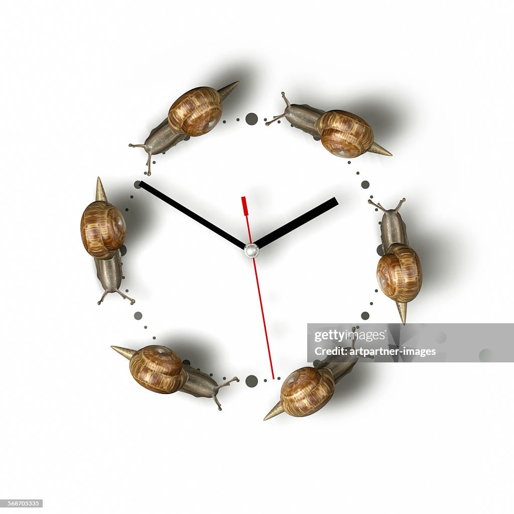 Snails crawling around a clock